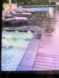 The Riverine By The Park (D12), Apartment #580196681